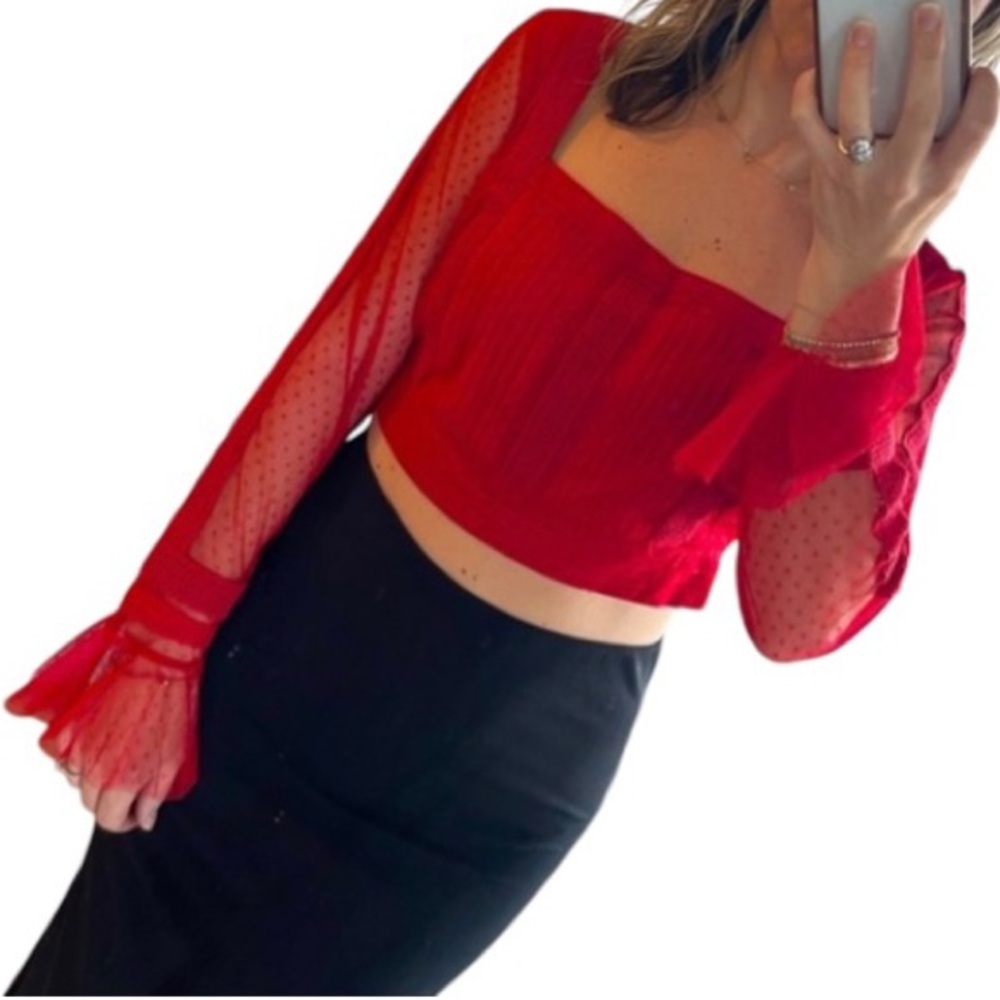 NWT Anthropologie Plus A+nthropologie Dotted Tulle Crop Long Sleeve Top Size 24W - Picture 16 of 16